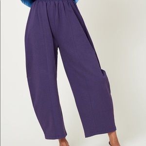Terry Abe Pant in Nightshade